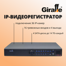   : IP- GIRAFFE