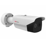IP-видеокамера цилиндрическая тепловизионная двухспектральная 4 Мп HIWATCH IPT-B012-G2/S